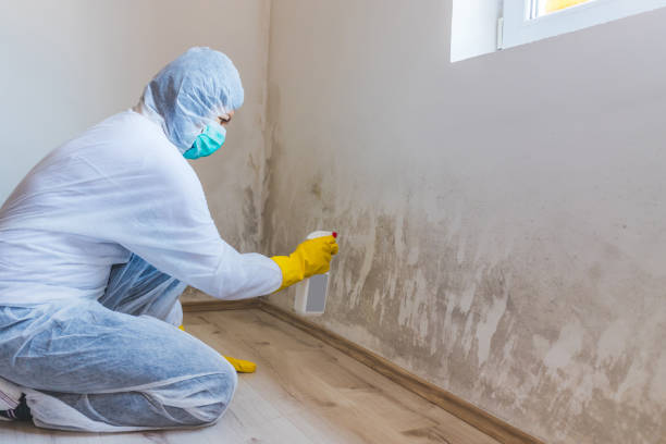 Hvac And Air Duct Mold Remediation inspection of HVAC system in Rockford